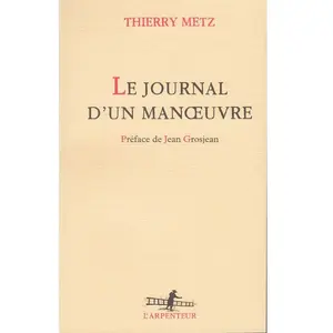 L'arpenteur Le Journal d'un manoeuvre Thierry Metz pas cher