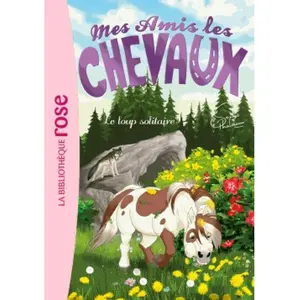 Hachette Mes amis les chevaux Tome VIII : Le loup solitaire - Collectif - Livre . pas cher