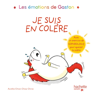 Hachette Enfants Les émotions de Gaston - Je suis en colère pas cher