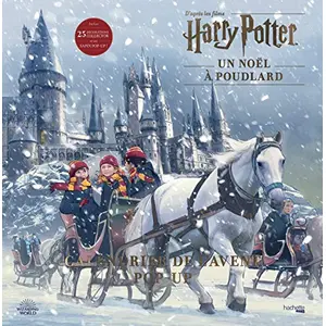 Hachette Heroes Calendrier de l'avent Pop-up Harry Potter pas cher