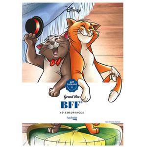 Hachette Pratique Grand bloc Disney BFFVendu pareyrolles