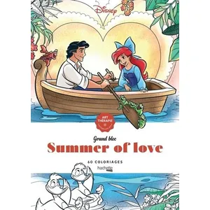 Comparateur de prix : Hachette Heroes Grand Bloc Disney - Summer of Love