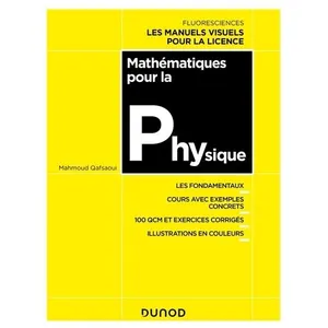 Dunod Mathématiques pour la physique Mahmoud Qafsaoui (Auteur) pas cher