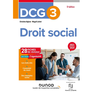 Dunod DCG 3, droit social : 28 fiches de révision pour réussir l'épreuve : 2023-2024