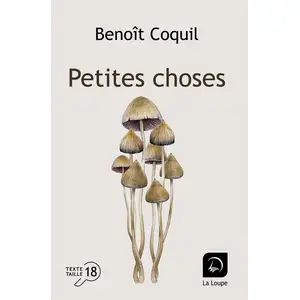 Comparateur de prix : Editions de la Loupe Petites choses