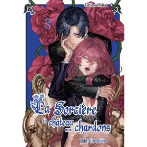 Akata La sorcière du château aux chardons - Tome 3 pas cher