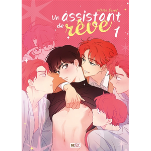 Comparateur de prix : kbooks Un assistant de rêve T01