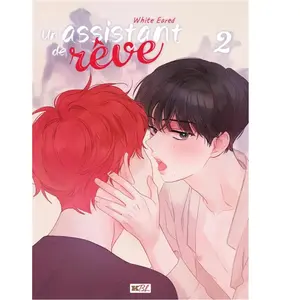kbooks Un assistant de rêve T02 pas cher
