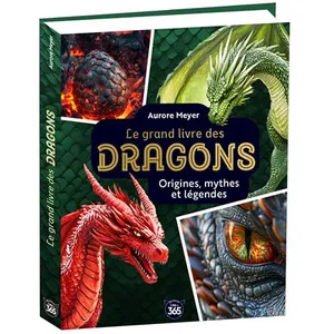 Mon grand livre des dragons relié pas cher