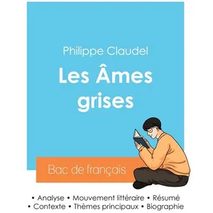 Réussir son Bac de français 2024 : Analyse des mes grises de Philippe...