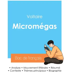 Réussir son Bac de français 2024 : Analyse de Micromégas de Voltaire