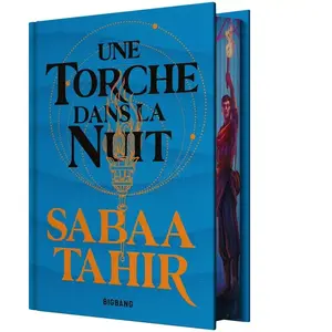 Comparateur de prix : Big Bang Une braise sous la cendre, Tome 2 : Une torche dans la nuit (Relié)