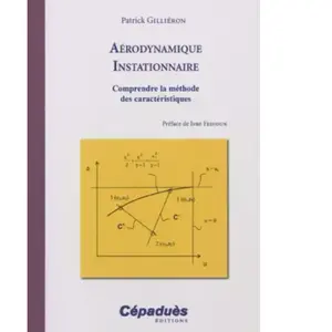 Cepadues Aérodynamique Instationnaire - Comprendre la méthode des caractéristiques pas cher