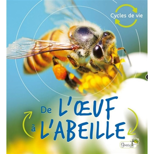 Grenouille De l'oeuf à l'abeille pas cher