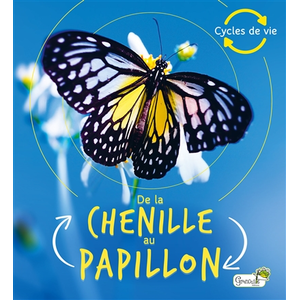 Grenouille De la chenille au papillon pas cher