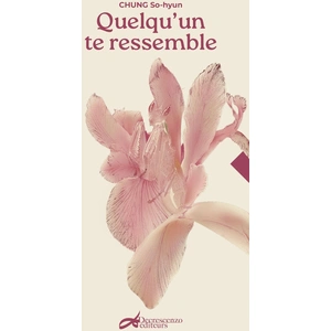 Decrescenzo Quelqu'un te ressemble broché pas cher