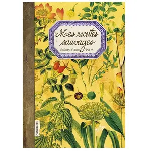 Comparateur de prix : Mes recettes sauvages : feuilles, fleurs, fruits Nuria Pastor Martinez