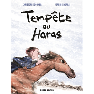 Rue De Sevres Tempête Au Haras
