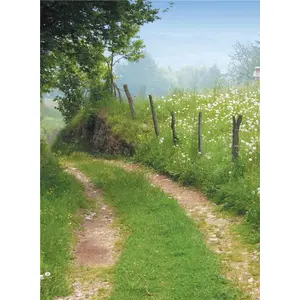 La Bouinotte La croisée des chemins pas cher