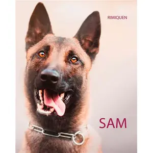 Comparateur de prix : Books on Demand Sam