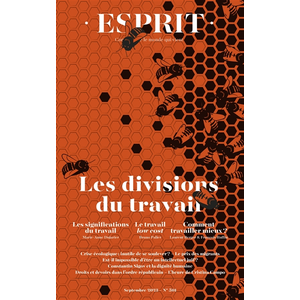 Esprit - Les divisions du travail Anne Dujin (Auteur) pas cher