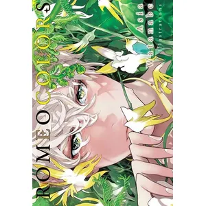 Taifu Comics Romeo Colors Artbook pas cher