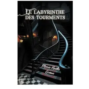 Le labyrinthe des tourments broché pas cher