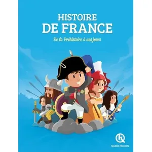 Comparateur de prix : Histoire de France - De la préhistoire à nos jours (Jeunesse)