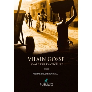 Publiwiz Vilain gosse - Avalé par l’aventure broché pas cher