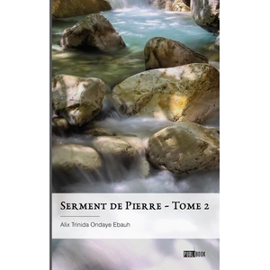 Comparateur de prix : Publibook Serment de Pierre - tome 2 broché