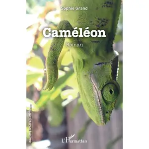L'harmattan Caméléon pas cher