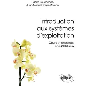 Ellipses Introduction aux systèmes d'exploitation : cours et exercices en GNU-Linux pas cher
