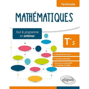 Ellipses Mathématiques - Terminale S - L'essentiel du cours, cartes me... pas cher