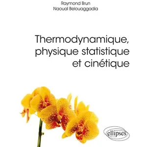 Ellipses Thermodynamique, physique statistique et cinétique pas cher