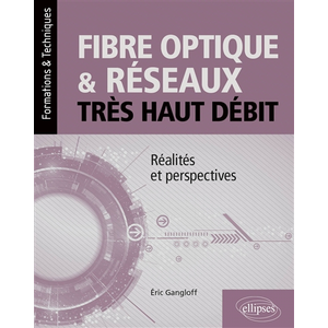 Ellipses Fibre optique et reseaux tres haut debit - realites et perspectives pas cher