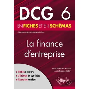 Comparateur de prix : Ellipses DCG 6 - La finance d'entreprise en fiches et en schémas