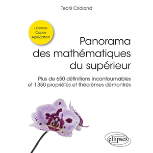 Ellipses Panorama des mathématiques du supérieur pas cher