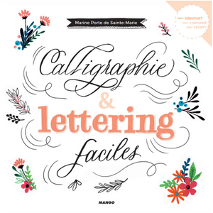 Mango Calligraphie et lettering faciles pas cher