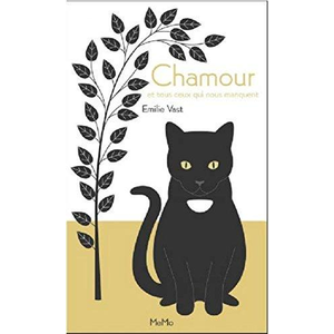 Memo Eds Chamour pas cher