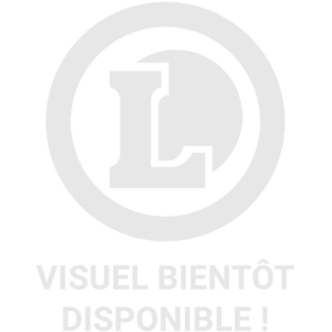 Le Lezard Noir YUSAKU AU CRÉPUSCULE (Manga) pas cher