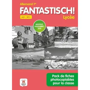 Comparateur de prix : Klett Maison Des Langues Fantastisch 1re - Pack de fiches