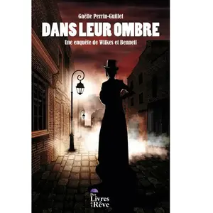 Comparateur de prix : Des Livres Et Du Reve Dans leur ombre