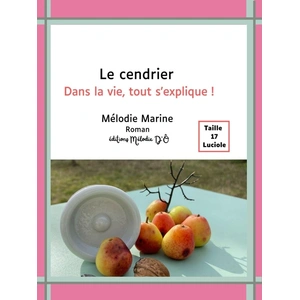 Mélodie D'Ô Le cendrier pas cher