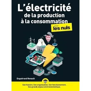 Comparateur de prix : First L'électricité, de la production à la consommation pour les nuls broché