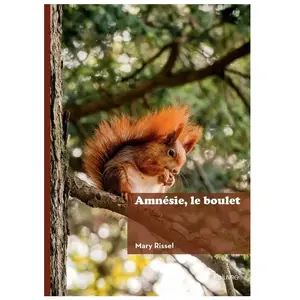 Edilivre-Aparis Amnésie, le boulet broché pas cher