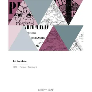 Hachette Bnf Le bambou pas cher