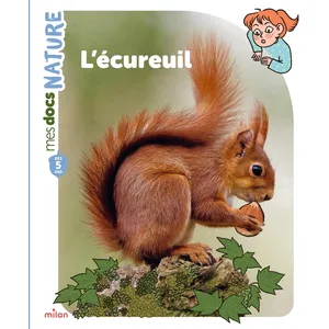 L'écureuil cartonné pas cher