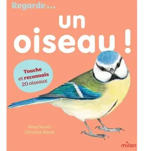 Regarde... Un oiseau ! pas cher
