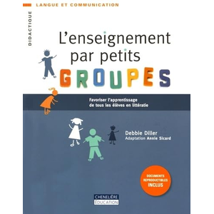 Chenelière Education L'enseignement Par Petits Groupes - Favoriser L'apprentissage De Tous Les Élèves En Littératie pas cher
