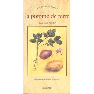 Actes sud La Pomme de terre